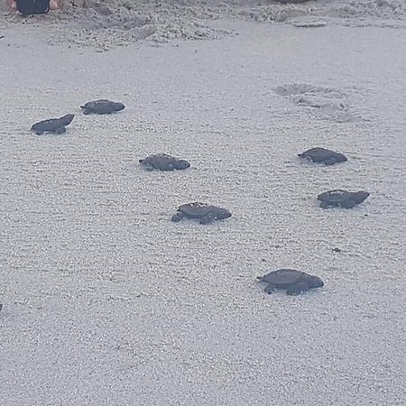 Apartamento Praia Dos Carneiros Tamandare Bagian luar foto